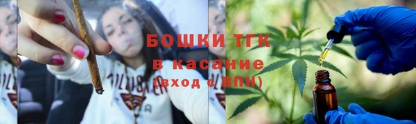 дмт Елизово