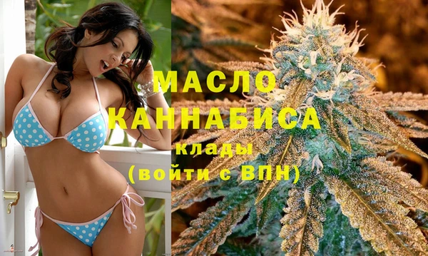 дмт Елизово